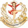 logo-tsv